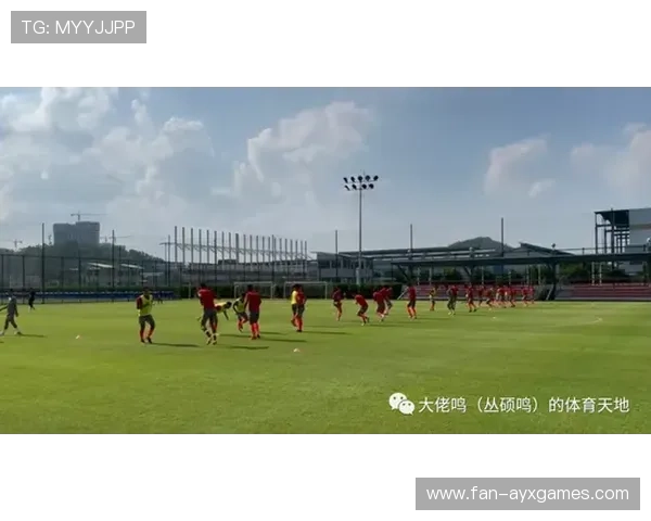 赛场边的故事:教练的战术调整带来奇迹,赛场上的教练